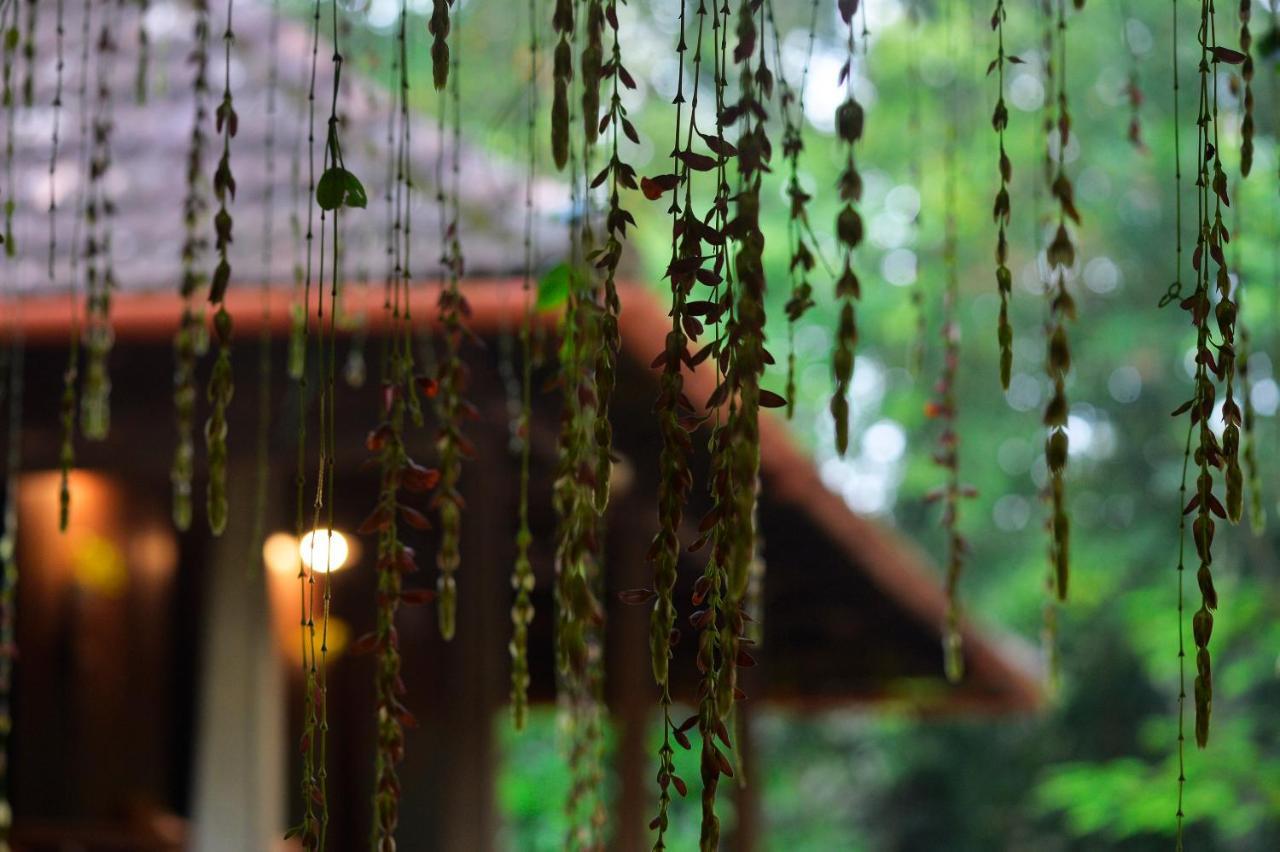 Swasthi Serviced Villa Kanjirapalli 外观 照片